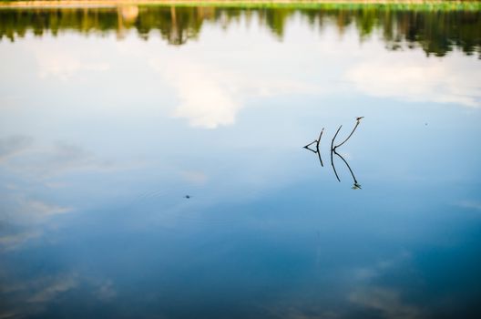 Pond and water reflection in spring nature in Thailand