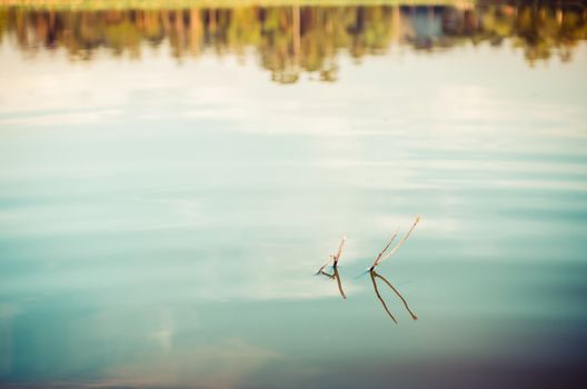 Pond and water reflection in spring nature in Thailand vintage