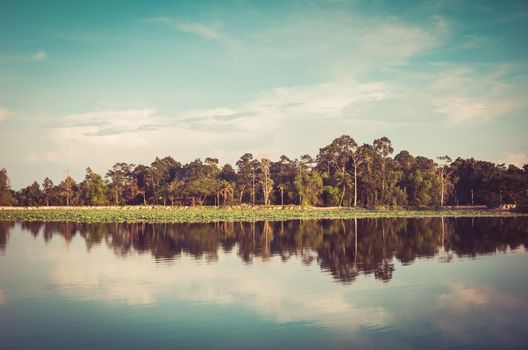 Pond and water reflection in spring nature in Thailand vintage