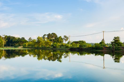 Pond and water reflection in spring nature in Thailand