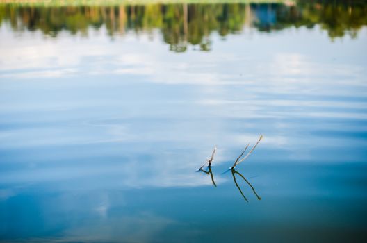 Pond and water reflection in spring nature in Thailand