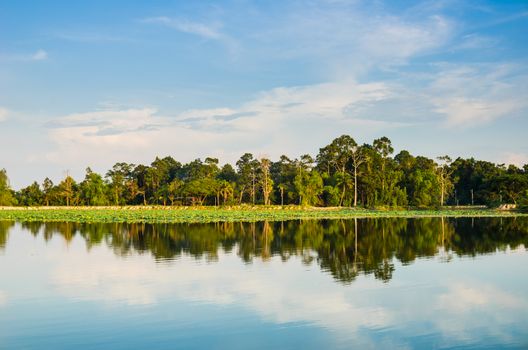 Pond and water reflection in spring nature in Thailand