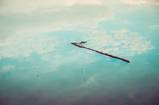 Pond and water reflection in spring nature in Thailand vintage