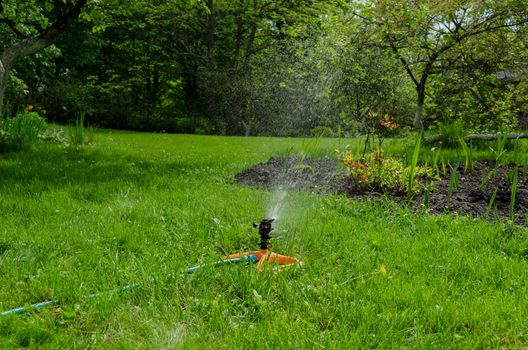 sprinkling irrigation on the grass garden