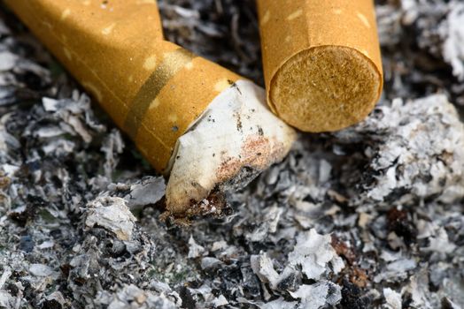 Cigarette butts in an ashtray