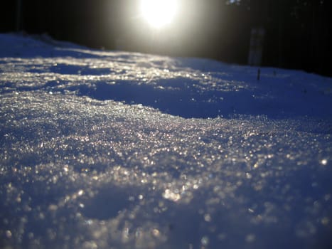 Sunrise in the winter forest by early morning