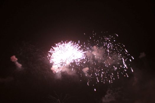 Colorful firework in the black night sky