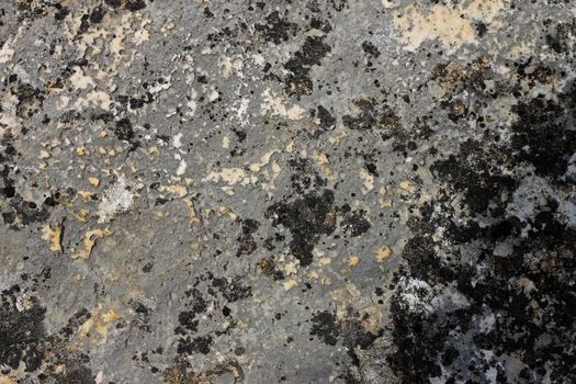 Natural background with a stone and the moss