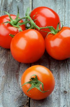 Arrangement of Ripe Red Tomatoes with Stems and Orange Tomato isolated on Rustic Wooden background