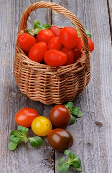Arrangement of Various Ripe Red and Colorful Cherry Tomatoes with Corn Salad Leafs in Wicker Basket isolated on Rustic Wooden background