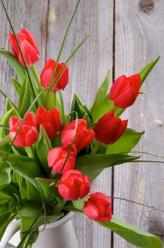 Bunch of Spring Magenta Tulips with Green Grass in White Jug closeup on Rustic Wooden background. Top View