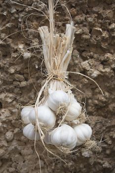 Garlic bouquet and stucco wall, Mallorca, Balearic islands, Spain.