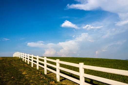 grass field on the mountain and clear sky