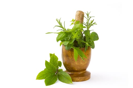 Mortar with fresh herbs on white background