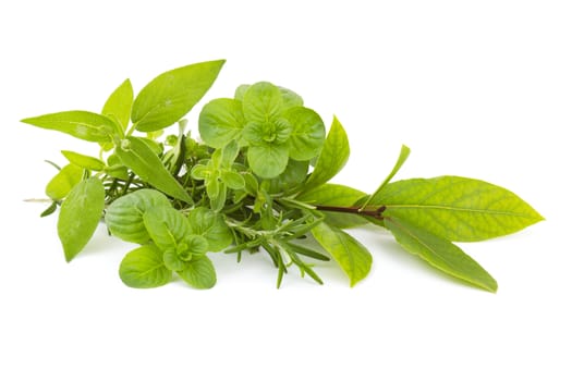Freshly harvested herbs on white background