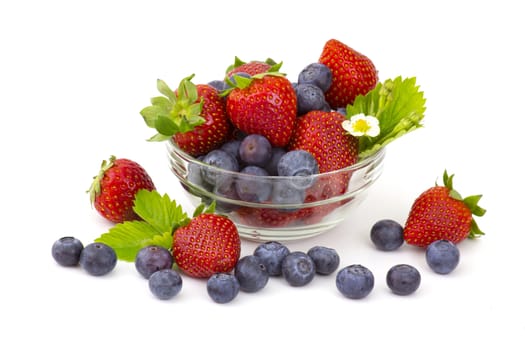 fresh fruits on white background