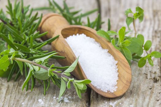 Healthy sea salt and fresh herbs