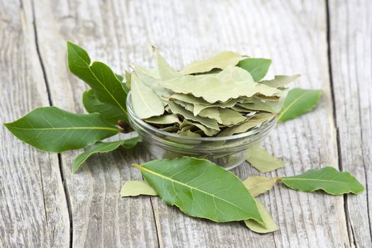 laurel bay leaves