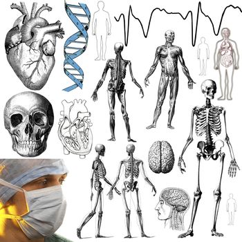 Selection of medical and anatomical objects and figures for cutout