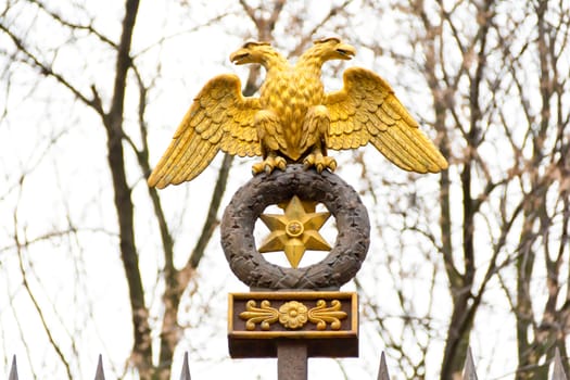 Eagle with double head is symbol of Russian town Sankt Petersburg