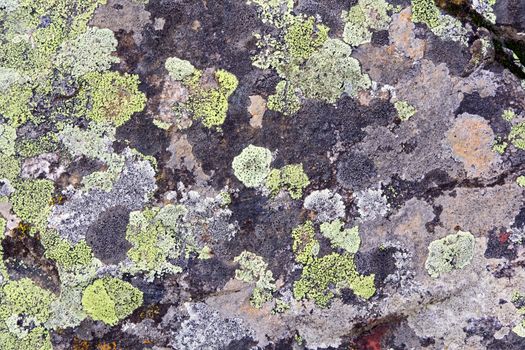 Photo of background colorful roughness gritty texture