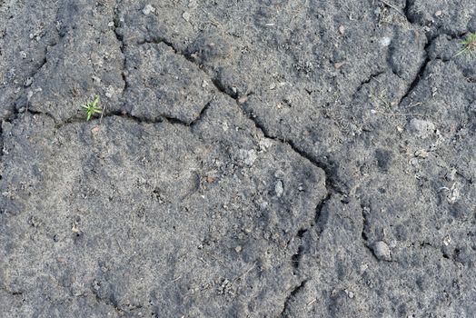 Chapped cultivated soil surface. The natural background