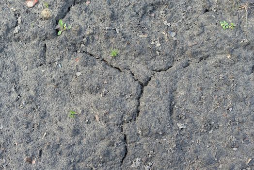 Chapped cultivated soil surface. The natural background