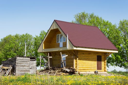 Wooden house in the meadow with dandelions. Russia