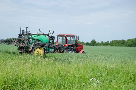 green red tractor fertilizing wheat field in summer day