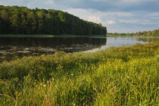 The blue sky, the green wood and meadow with a grass and wild flowers, the river in the summer