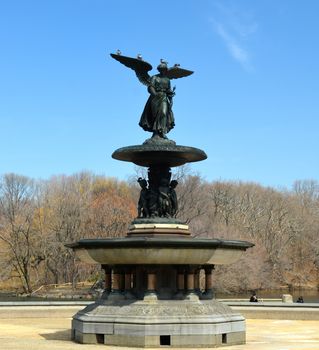 Central Park in New York City