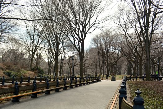 Central Park in New York City