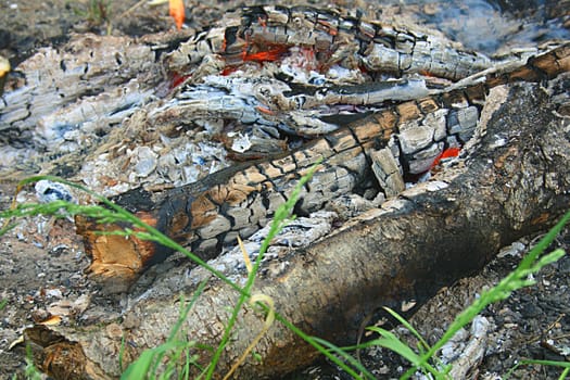 The remains of the burnt-out fire on the grass