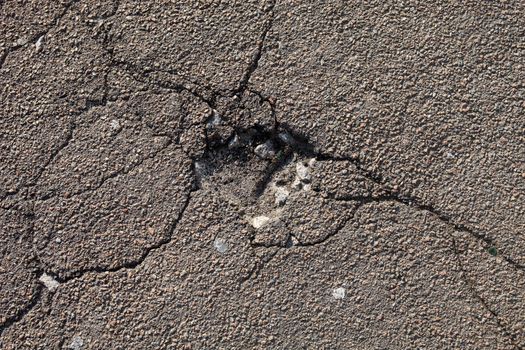 Cracked asphalt surface with a small pit.