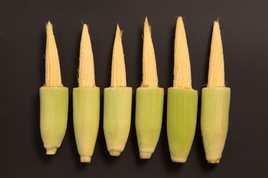 Row of fresh baby corn on gray background 