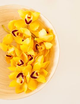 spa, health and beauty concept - closeup of wooden bowl with orchid flowers