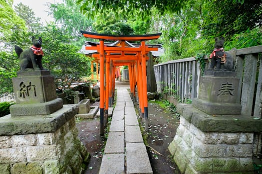 Torii in shinto shrine, Tokyo