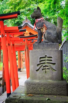 Torii in shinto shrine, Tokyo