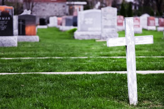 Lonely White Cross in a Old Cemetery