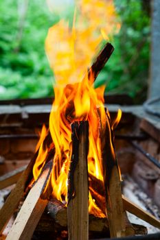 Closeup shot of camping fire