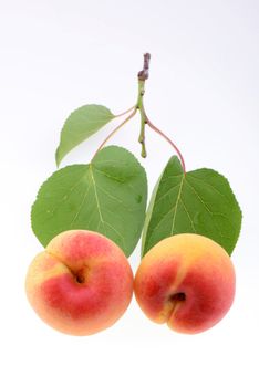 Ripe apricot on a white background