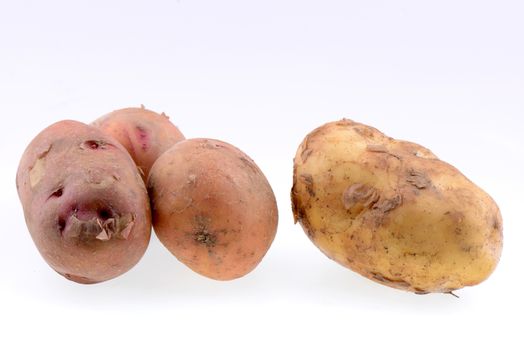 Potatoes isolated on a white background