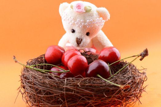 Toy teddy bear collecting Sweet cherries isolated on an orange background