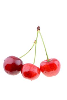 Sweet red cherries isolated on a white background