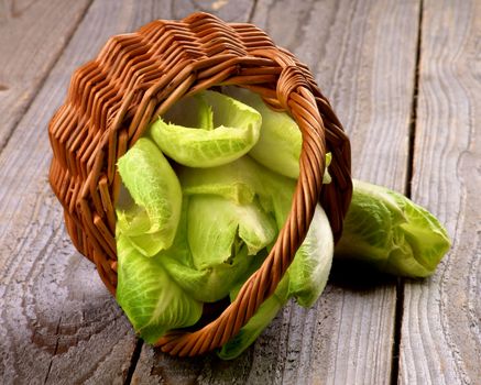 Wicker Basket  with Fresh Crunchy Endive Leaves closeup on Rustic Wooden background