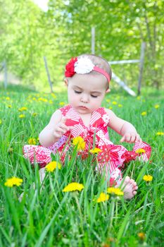 Beautiful brunette baby girl sitting in a field