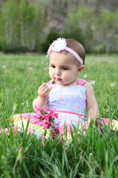 Beautiful brunette baby girl sitting in a field