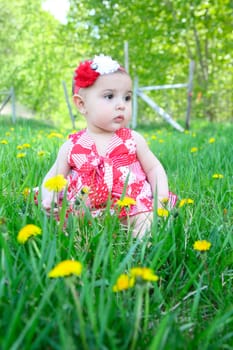 Brunette baby girl sitting in a field with dandelions