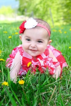 Brunette baby girl sitting in a field with dandelions