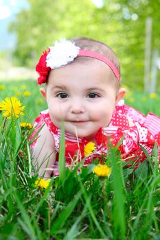 Brunette baby girl sitting in a field with dandelions